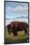 Bison Scene, West Yellowstone, Montana-Lantern Press-Mounted Art Print