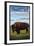 Bison Scene, Yellowstone National Park-Lantern Press-Framed Art Print