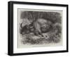 Bison Shot at the Foot of the Neilgherry Hills, Madras-null-Framed Giclee Print