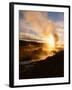 Bison Silhouetted at Sunrise as Old Faithful Erupts, Yellowstone National Park, Wyoming, USA-Adam Jones-Framed Photographic Print