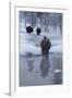 Bison Standing along a Stream in Winter-W. Perry Conway-Framed Photographic Print