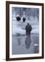 Bison Standing along a Stream in Winter-W. Perry Conway-Framed Photographic Print