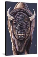 Bison Up Close-Lantern Press-Stretched Canvas