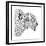 Bison (Variant 1)-Sharon Turner-Framed Art Print