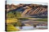 Bison Wildlife Crossing Little Missouri River, Theodore Roosevelt National Park, North Dakota, USA-Chuck Haney-Stretched Canvas