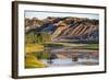 Bison Wildlife Crossing Little Missouri River, Theodore Roosevelt National Park, North Dakota, USA-Chuck Haney-Framed Photographic Print