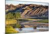 Bison Wildlife Crossing Little Missouri River, Theodore Roosevelt National Park, North Dakota, USA-Chuck Haney-Mounted Photographic Print