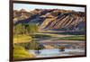 Bison Wildlife Crossing Little Missouri River, Theodore Roosevelt National Park, North Dakota, USA-Chuck Haney-Framed Photographic Print