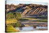 Bison Wildlife Crossing Little Missouri River, Theodore Roosevelt National Park, North Dakota, USA-Chuck Haney-Stretched Canvas