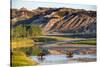 Bison Wildlife Crossing Little Missouri River, Theodore Roosevelt National Park, North Dakota, USA-Chuck Haney-Stretched Canvas