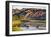 Bison Wildlife Crossing Little Missouri River, Theodore Roosevelt National Park, North Dakota, USA-Chuck Haney-Framed Photographic Print