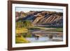 Bison Wildlife Crossing Little Missouri River, Theodore Roosevelt National Park, North Dakota, USA-Chuck Haney-Framed Photographic Print