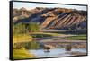 Bison Wildlife Crossing Little Missouri River, Theodore Roosevelt National Park, North Dakota, USA-Chuck Haney-Framed Stretched Canvas