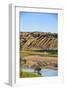 Bison Wildlife Crossing Little Missouri River, Theodore Roosevelt National Park, North Dakota, USA-Chuck Haney-Framed Photographic Print