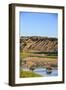 Bison Wildlife Crossing Little Missouri River, Theodore Roosevelt National Park, North Dakota, USA-Chuck Haney-Framed Photographic Print