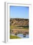 Bison Wildlife Crossing Little Missouri River, Theodore Roosevelt National Park, North Dakota, USA-Chuck Haney-Framed Photographic Print