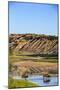 Bison Wildlife Crossing Little Missouri River, Theodore Roosevelt National Park, North Dakota, USA-Chuck Haney-Mounted Photographic Print