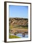 Bison Wildlife Crossing Little Missouri River, Theodore Roosevelt National Park, North Dakota, USA-Chuck Haney-Framed Photographic Print