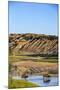 Bison Wildlife Crossing Little Missouri River, Theodore Roosevelt National Park, North Dakota, USA-Chuck Haney-Mounted Photographic Print