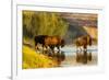 Bison Wildlife Crossing Little Missouri River, Theodore Roosevelt National Park, North Dakota, USA-Chuck Haney-Framed Photographic Print