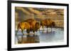 Bison Wildlife Crossing Little Missouri River, Theodore Roosevelt National Park, North Dakota, USA-Chuck Haney-Framed Photographic Print