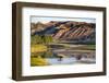 Bison Wildlife Crossing Little Missouri River, Theodore Roosevelt National Park, North Dakota, USA-Chuck Haney-Framed Premium Photographic Print