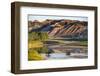 Bison Wildlife Crossing Little Missouri River, Theodore Roosevelt National Park, North Dakota, USA-Chuck Haney-Framed Photographic Print