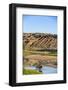 Bison Wildlife Crossing Little Missouri River, Theodore Roosevelt National Park, North Dakota, USA-Chuck Haney-Framed Photographic Print