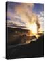 Bison Wildlife Grazing by Old Faithful Geyser, Yellowstone National Park, Wyoming, USA-Adam Jones-Stretched Canvas