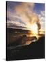 Bison Wildlife Grazing by Old Faithful Geyser, Yellowstone National Park, Wyoming, USA-Adam Jones-Stretched Canvas