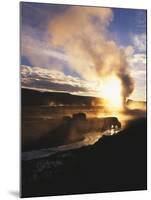 Bison Wildlife Grazing by Old Faithful Geyser, Yellowstone National Park, Wyoming, USA-Adam Jones-Mounted Photographic Print