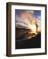 Bison Wildlife Grazing by Old Faithful Geyser, Yellowstone National Park, Wyoming, USA-Adam Jones-Framed Photographic Print