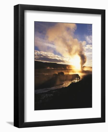 Bison Wildlife Grazing by Old Faithful Geyser, Yellowstone National Park, Wyoming, USA-Adam Jones-Framed Photographic Print