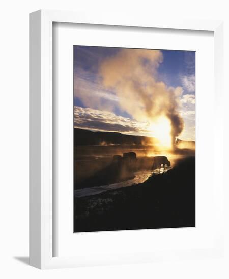 Bison Wildlife Grazing by Old Faithful Geyser, Yellowstone National Park, Wyoming, USA-Adam Jones-Framed Photographic Print