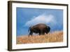 Bison, Yellowstone National Park, Wyoming II-Art Wolfe-Framed Giclee Print