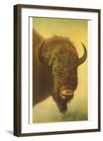 Bison, Yellowstone National Park-null-Framed Art Print