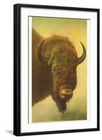 Bison, Yellowstone National Park-null-Framed Art Print