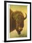 Bison, Yellowstone National Park-null-Framed Art Print