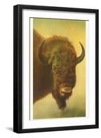 Bison, Yellowstone National Park-null-Framed Art Print