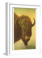 Bison, Yellowstone National Park-null-Framed Art Print