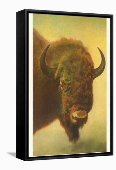 Bison, Yellowstone National Park-null-Framed Stretched Canvas