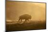 Bison-Jason Savage-Mounted Art Print