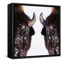 Bison-null-Framed Stretched Canvas