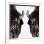 Bison-null-Framed Photographic Print