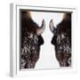 Bison-null-Framed Photographic Print