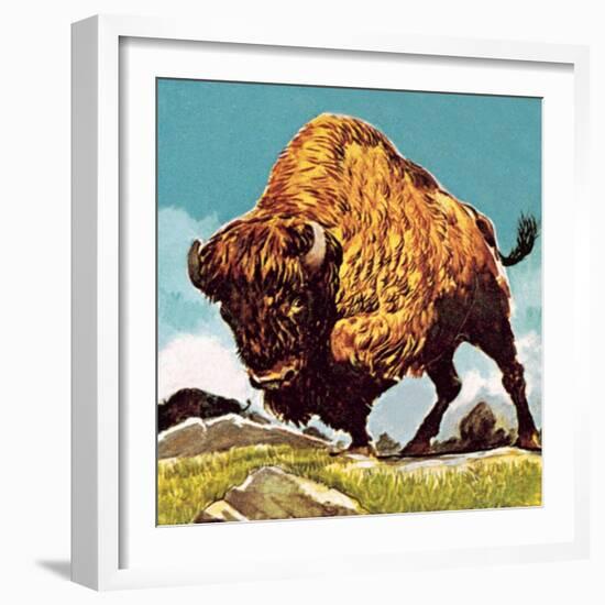 Bison-English School-Framed Giclee Print