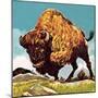 Bison-English School-Mounted Giclee Print