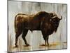 Bison-Sydney Edmunds-Mounted Giclee Print