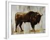 Bison-Sydney Edmunds-Framed Giclee Print