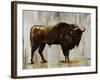 Bison-Sydney Edmunds-Framed Giclee Print